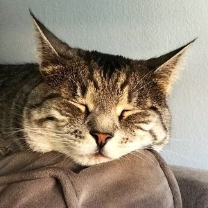 Meet your Posher, Evan